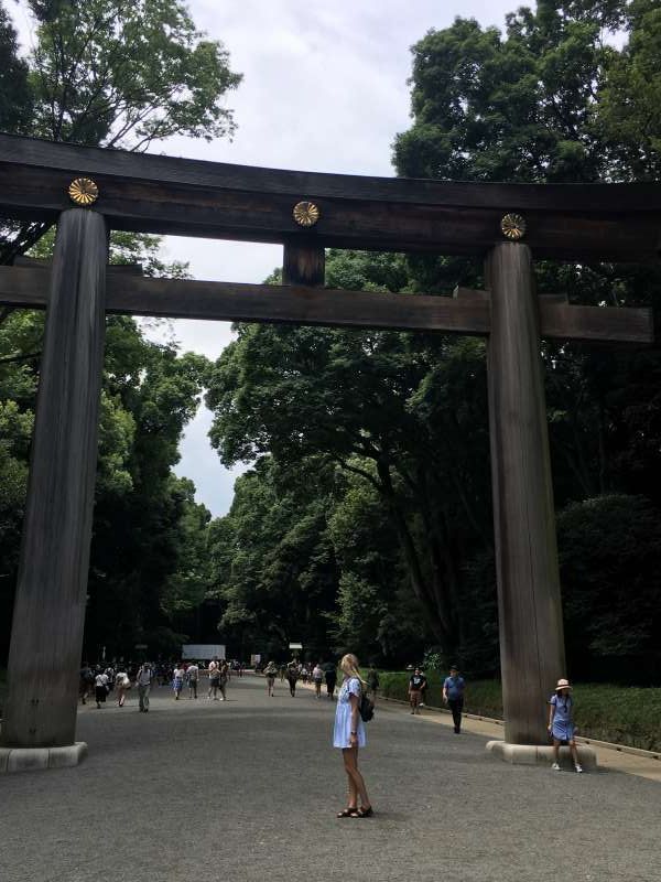 Tokyo Private Tour - Torii gate at Meiji Shrine