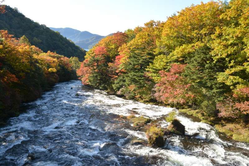 Tokyo Private Tour - Daiya river, Nikko
