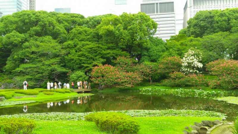 Tokyo Private Tour - East gardens of the Imperial Palace