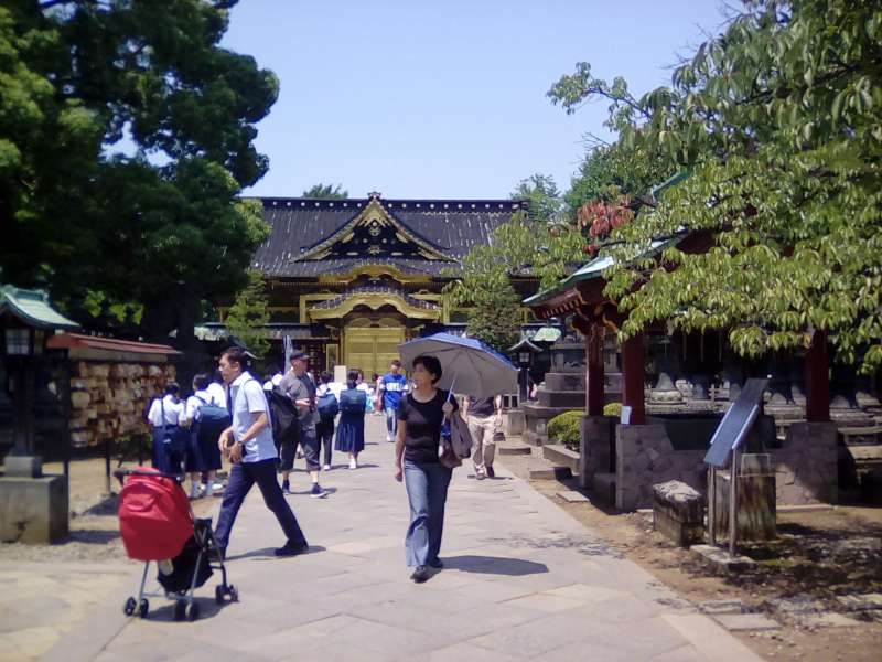 Tokyo Private Tour - Ueno Toshogu Shrine where worships three Shoguns, who made Edo, former Tokyo, great