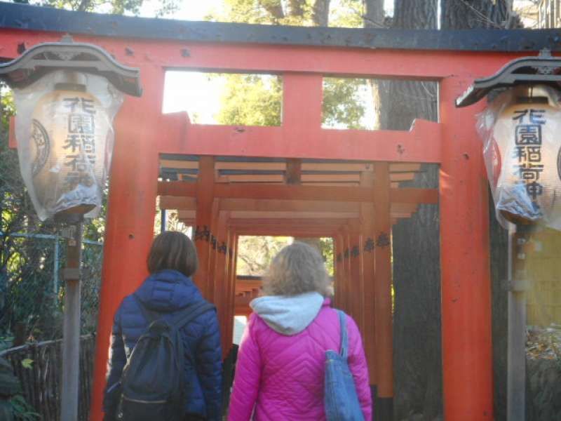 Tokyo Private Tour - Hanazono Shrine in Ueno Park