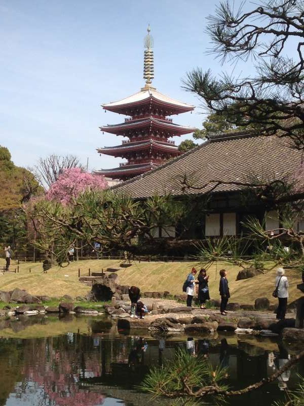 Tokyo Private Tour - Denpoin garden at Asakusa