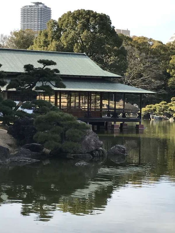 Tokyo Private Tour - Kiyosumi garden 