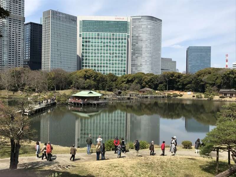 Tokyo Private Tour - Hamarikyu garden