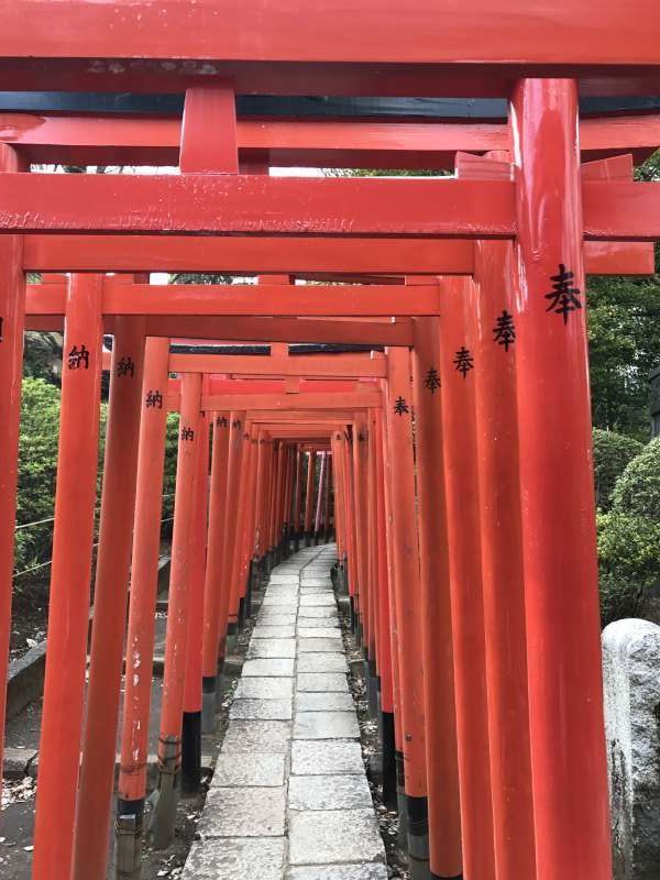 Tokyo Private Tour - Red Torii at Nezu Shrine