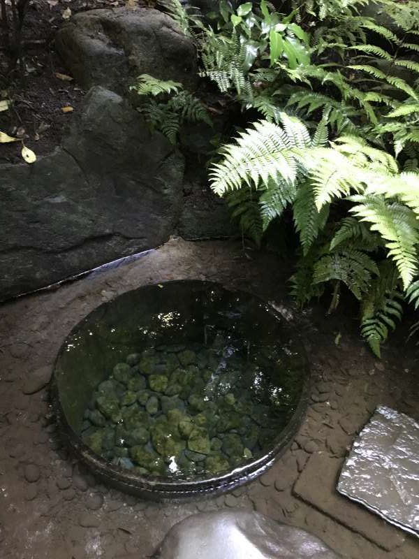 Tokyo Private Tour - Kiyomasa's well at Meiji Shrine