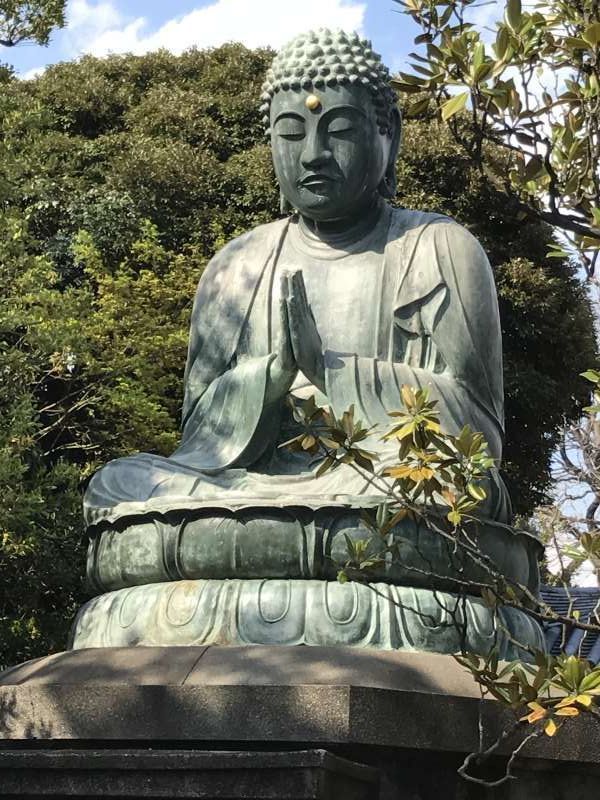 Tokyo Private Tour - Great Buddha of Tennoji temple in Yanaka