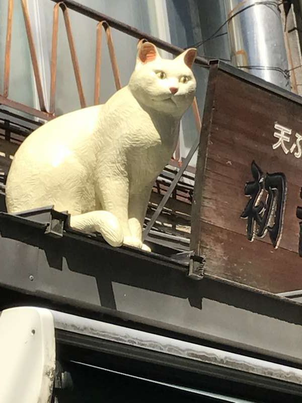 Tokyo Private Tour - Cat at Yanaka Ginza