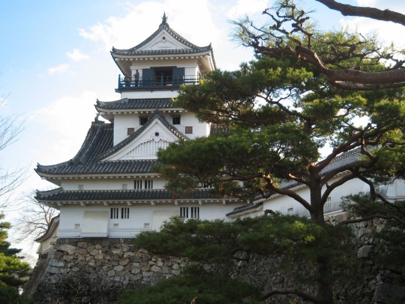 Tokyo Private Tour - Kochi Castle