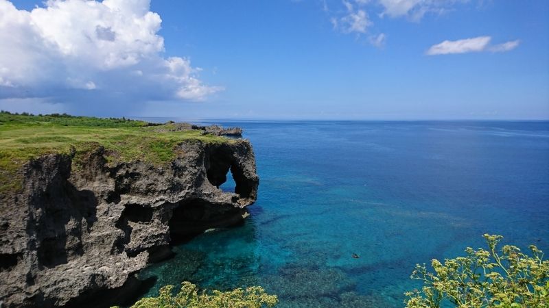 Tokyo Private Tour - Okinawa Manzamo