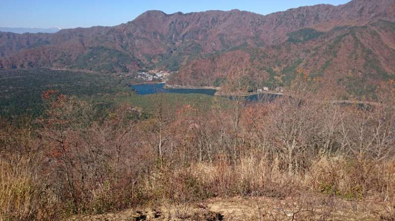 Yamanashi Private Tour - Aokigahara forest from Sankodai