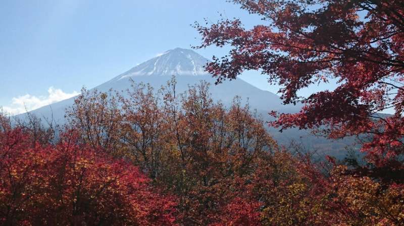 Yamanashi Private Tour - beatiful view from Koyodai