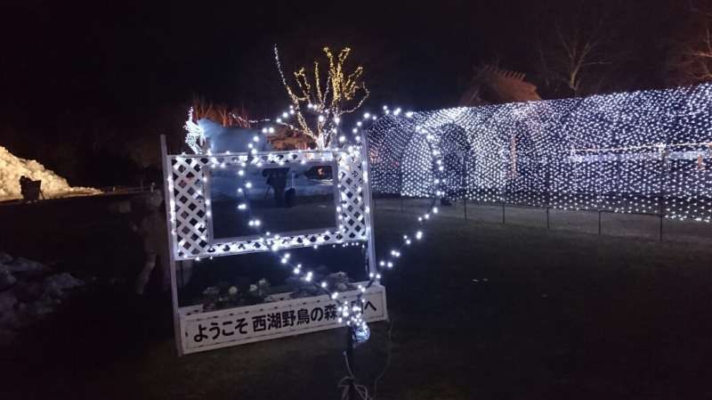 Yamanashi Private Tour - winter festival near Lake Saiko