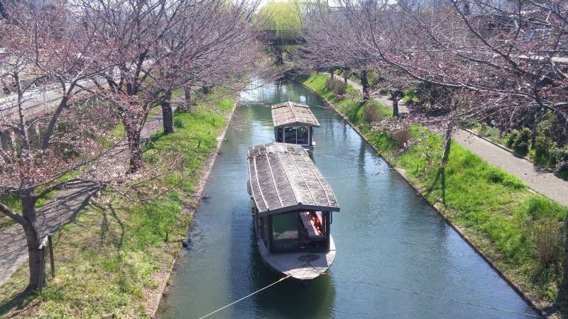 Kyoto Private Tour - Fushimi classic boat riding 