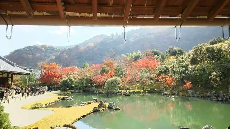 Nara Private Tour - The garden of Tenryuji Temple in Kyoto