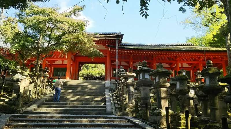 Nara Private Tour - Kasuga Taisha Grand Srine in Nara