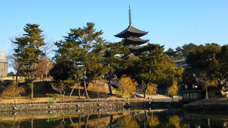 Nara Private Tour - Kofukuji Temple in Nara