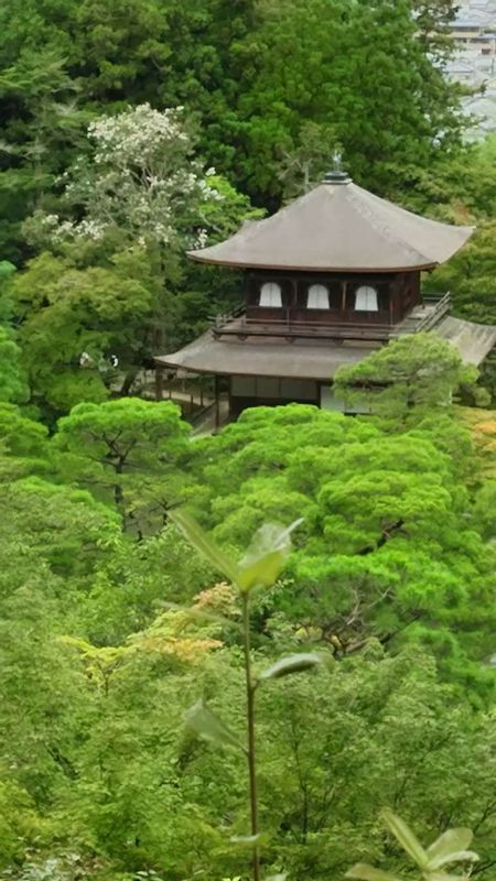 Nara Private Tour - Silver pavilion in Kyoto