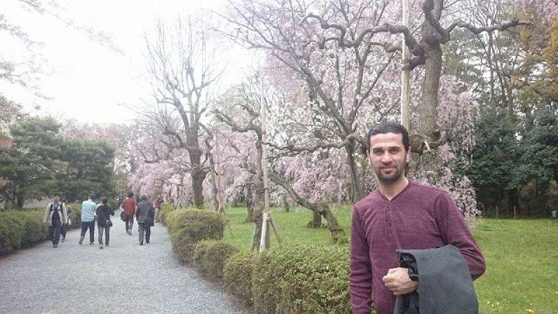 Kyoto Private Tour - The Sakura in Kyoto 