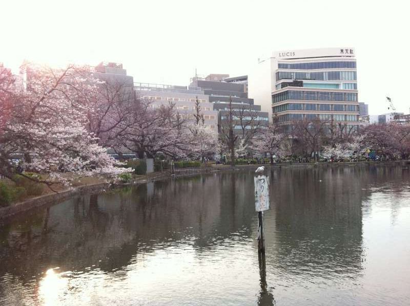 Tokyo Private Tour - 上野恩賜公園