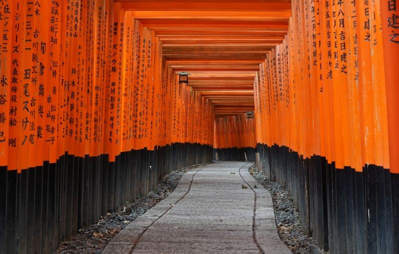 Shiga Private Tour - Fushimi Inari Taisha shrine
I can take professional photo with my authentic camera lens
at the torii gates and its hidden bamboo path.