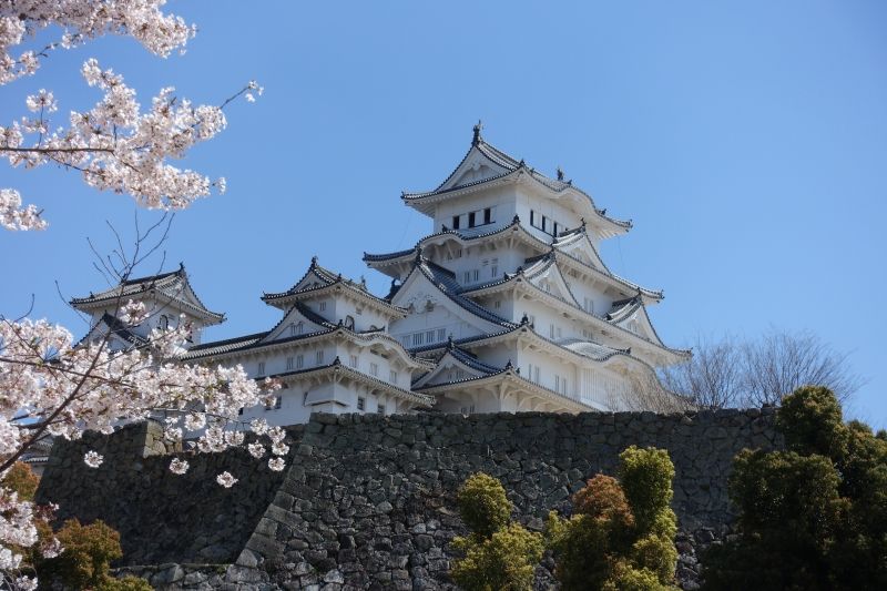 Osaka Private Tour - Cherry and HIMEJI castle