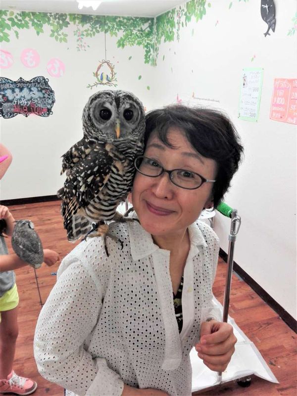 Tokyo Private Tour - Owl Cafe in Shinjuku.