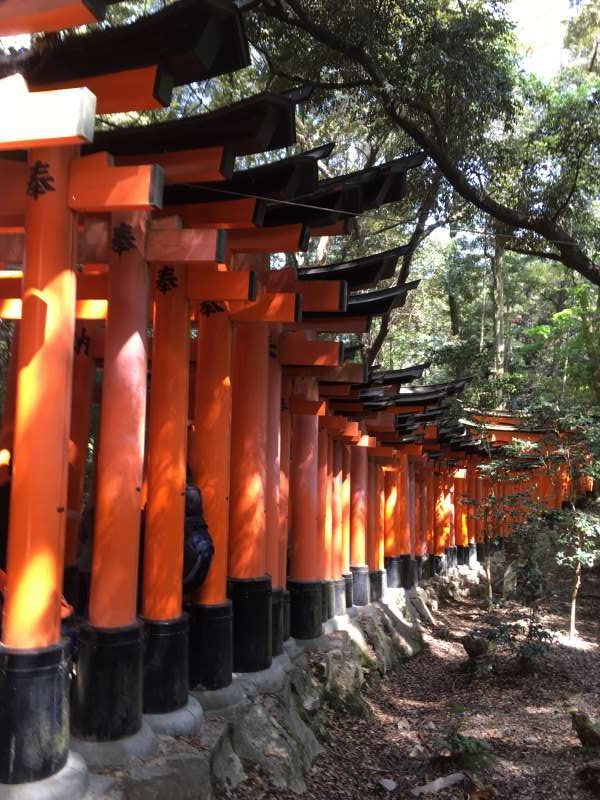 Osaka Private Tour - Fushimi Inari shrine.