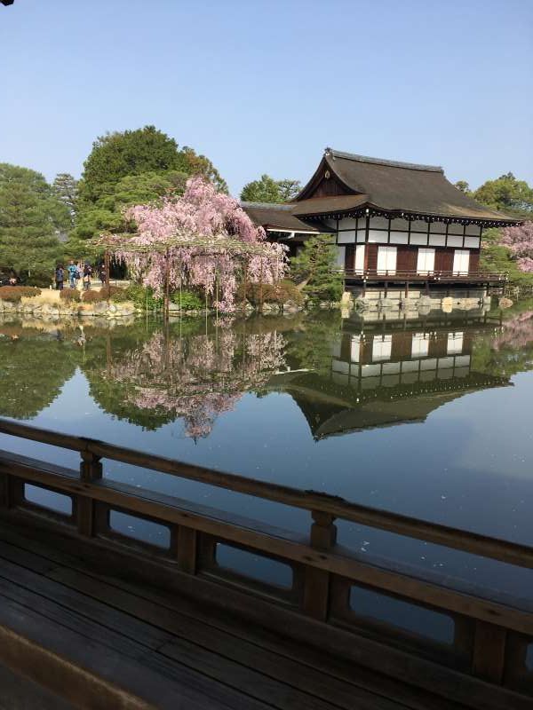 Osaka Private Tour - Heian Shrine garden.