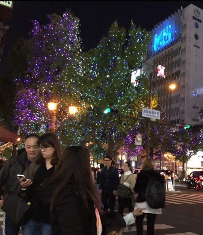 Osaka Private Tour - Thousands of lights along midi Suji line in Namba Osaka 