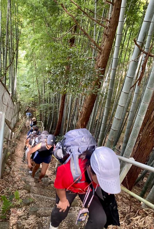 Osaka Private Tour - Nihondaira trekking 