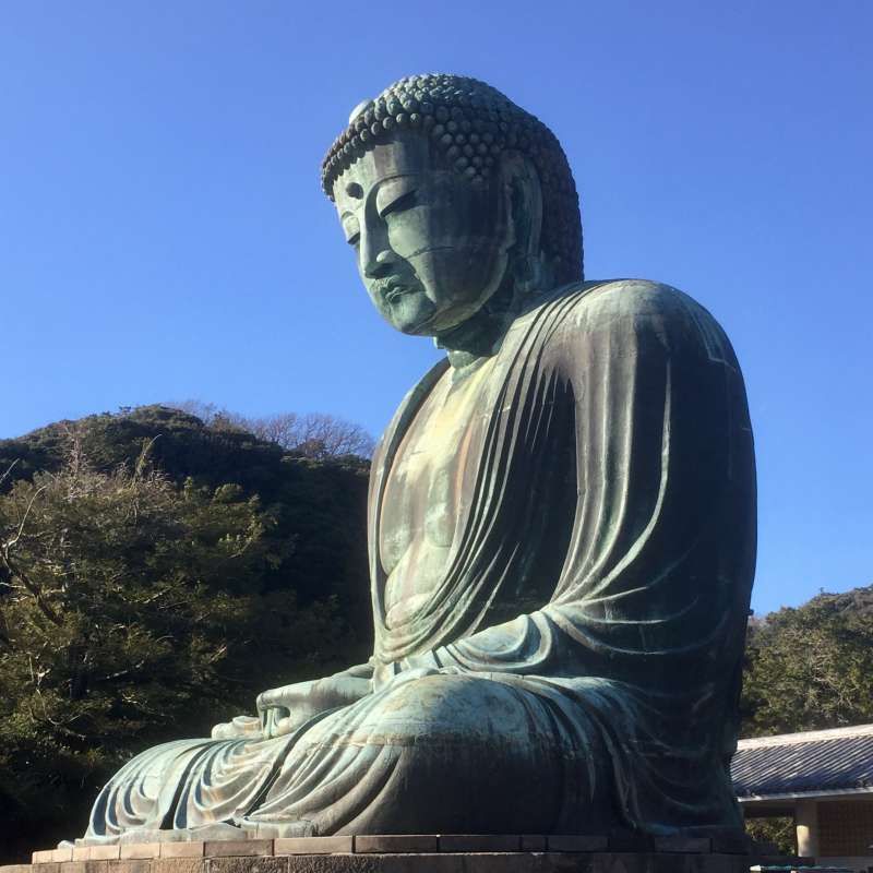 Yokohama Private Tour - Great Buddha in Kotokuin Temple in Kamakura. He has been sitting in the open air all year round over 500 years.
 