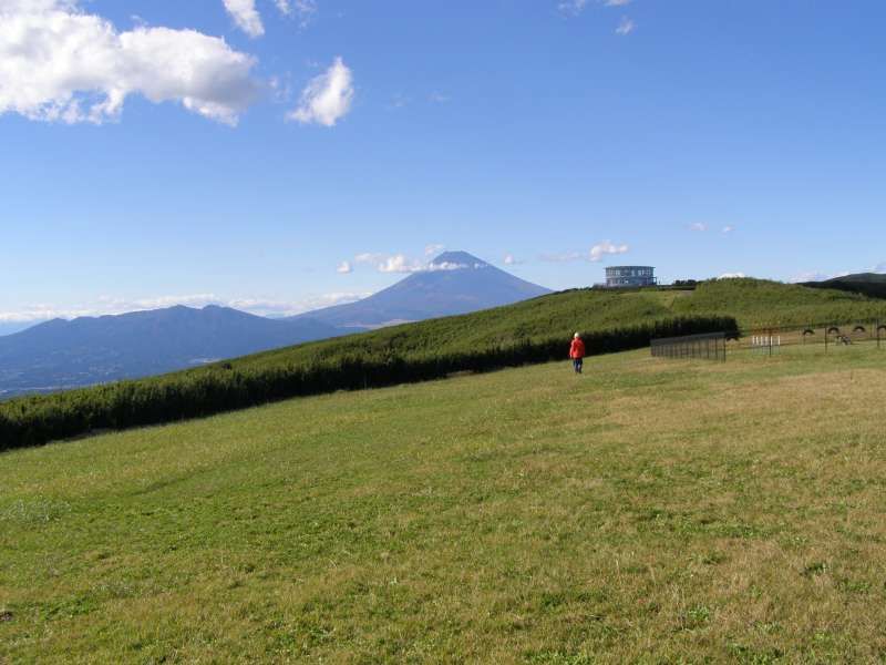 Shizuoka Private Tour - Mt. Fuji from a hilltop in Atami