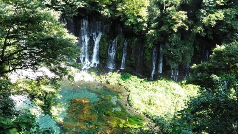 Shizuoka Private Tour - Shiraito Waterfall purifies body and soul of pilgrims climbing Mt. Fuji