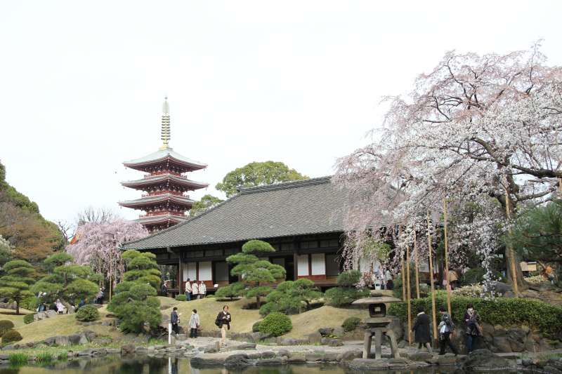 Chiba Private Tour - Five-story pagoda in Sensoji temple in Asakusa