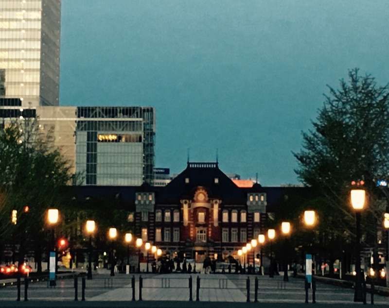 Tokyo Private Tour - Tokyo station