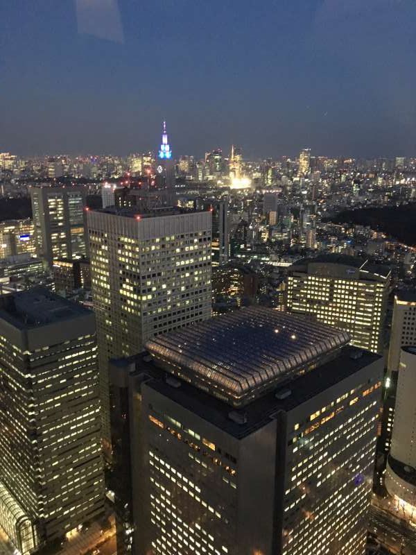 Tokyo Private Tour - Tokyo Metropolitan Government Bldg.