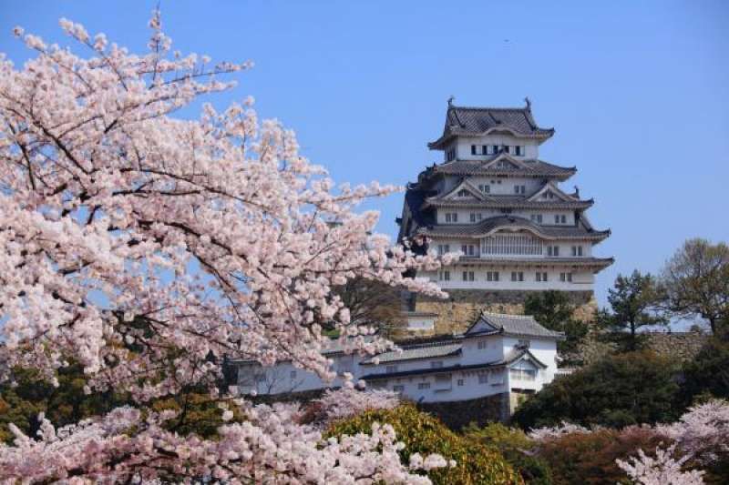 Kobe Private Tour - Himeji Castle in early April, Japan's first World Heritage Site which was also ranked #9 out of top 30 attractions in Japan by international travelers by Trip adviser, 2019.