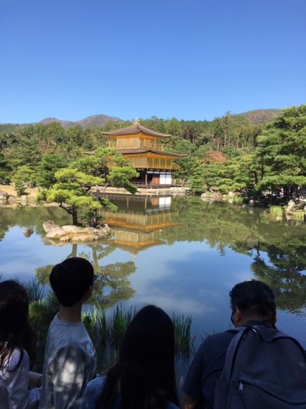 Kobe Private Tour - Kyoto's Kinkakuji Temple, Golden Pavilion, with its inverted image reflected in the pond might be the most beautiful.