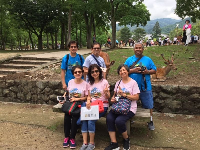 Kobe Private Tour - "Sitting beauties & their cool husbands" with Nara Park's friendly wild deer in the background  