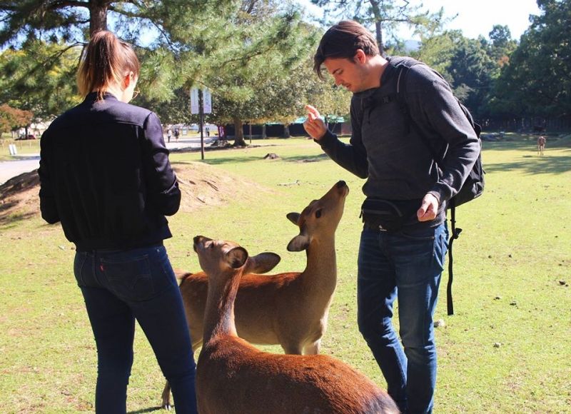 Kyoto Private Tour - I can help you to take pictures while feeding deer. I am good at taking pictures.