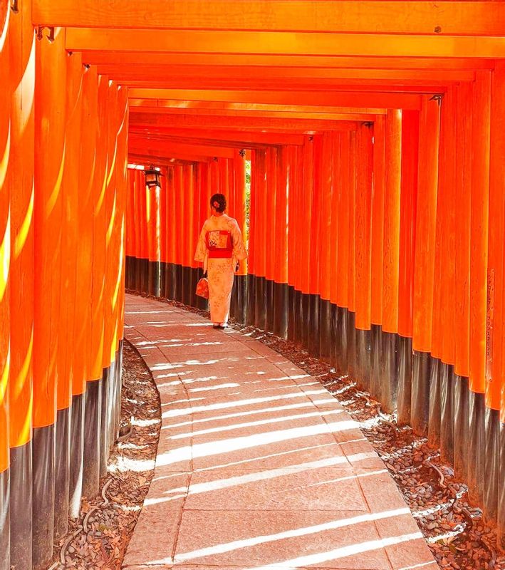 Kyoto Private Tour - To take nice pictures at Fushimi Inari shrine, you should visit in early morning.