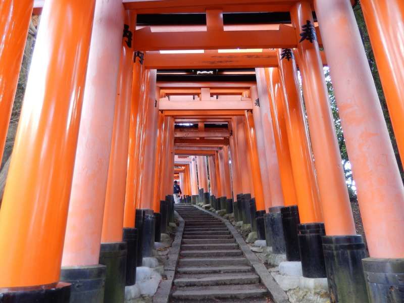 Osaka Private Tour - Shrine Gates in famous Fushimi-inari.