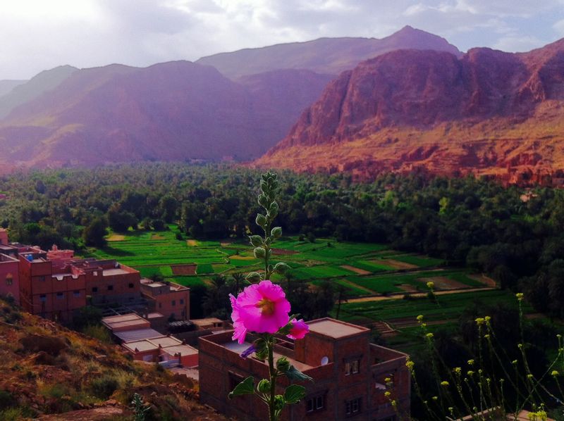 Marrakech Private Tour - Todra valley