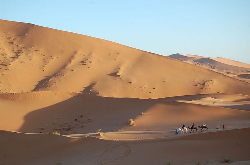 Marrakech Private Tour - Camel ride in Merzouga
