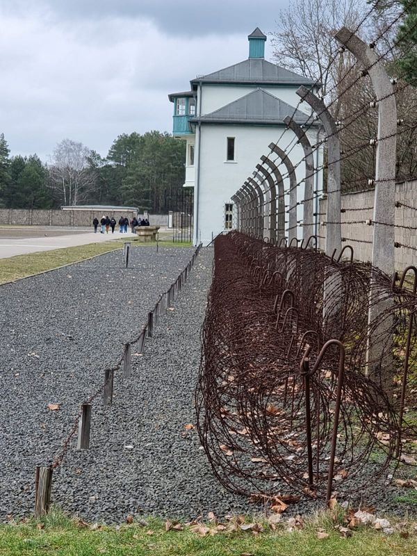 Berlin Private Tour - Barbed wire around the camp