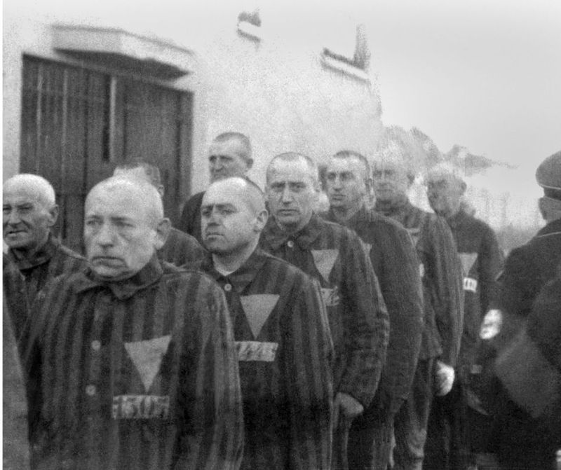 Berlin Private Tour - Homosexual prisoners in the concentration camp