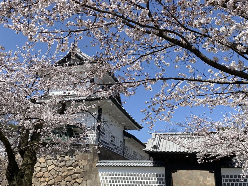 Kanazawa Private Tour - 金澤城