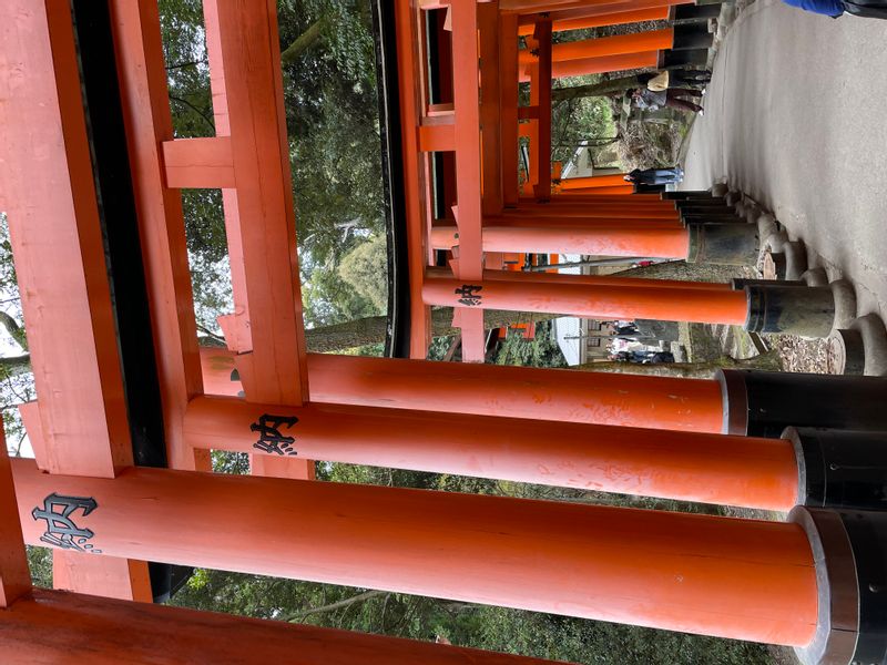 Kyoto Private Tour - Fushimi Inari shrine corridor