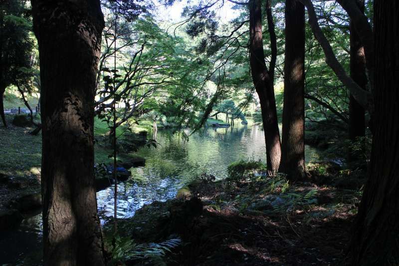 Narita Private Tour - Monju-no-Ike Pond in Naritasan Park.